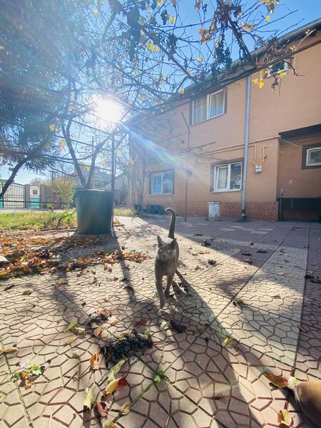 Bucurestii Noi metrou, Straulesti casa renovata